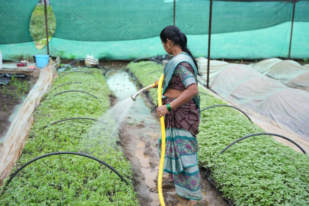 A woman tending to a farm inside a greenhouse, watering plants with care.